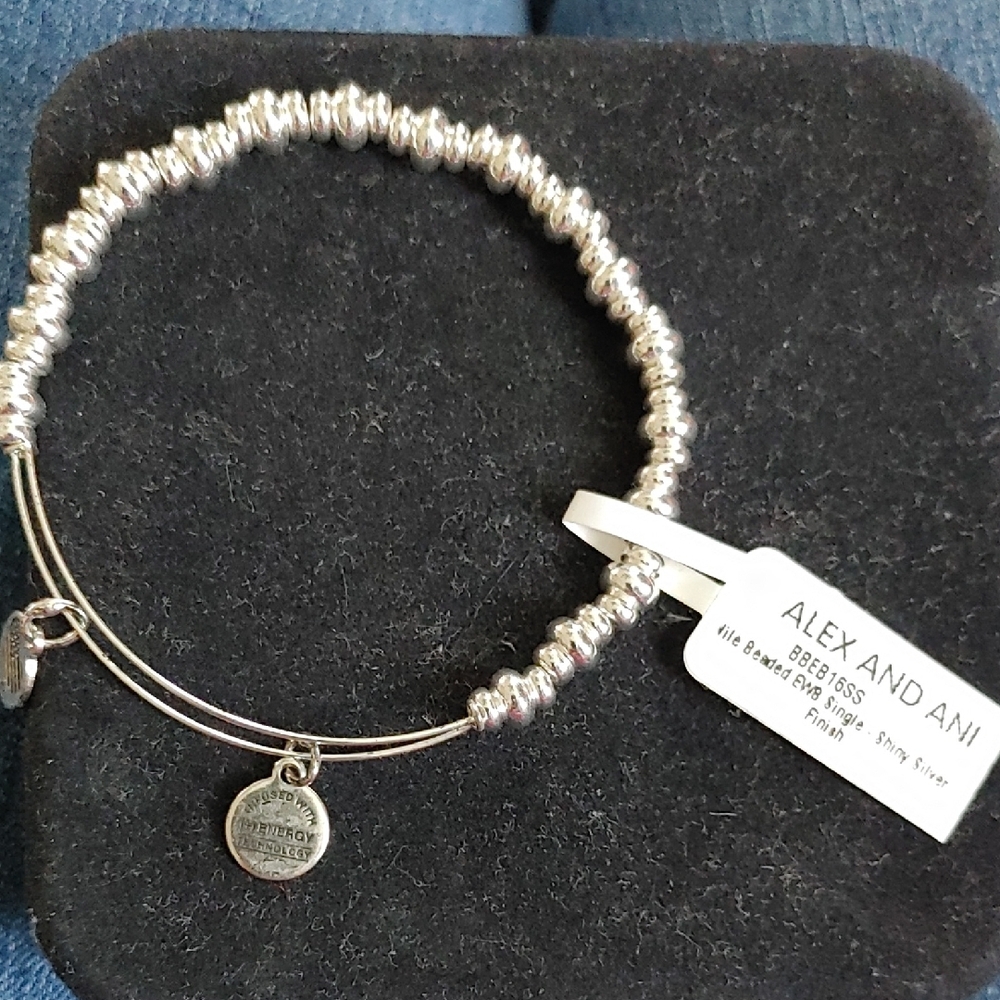 Alex and Ani Silver Charm Bangle Bracelet